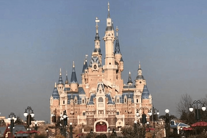 Sightseeing Tours